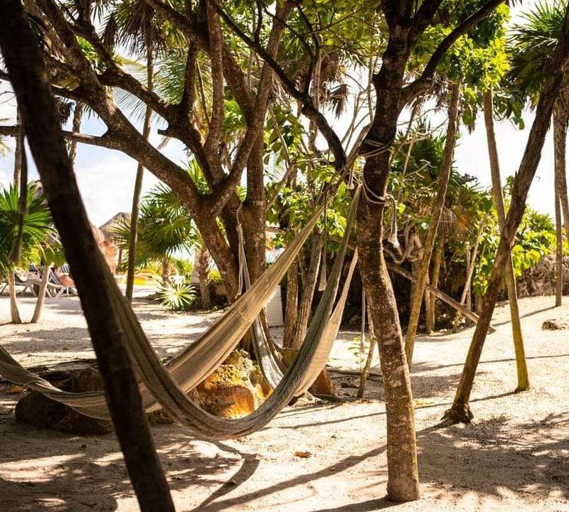 Oferta Especial. Grand Sirenis Riviera Maya Resorts & Spa Tulum Oferta Especial. Grand Sirenis Riviera Maya Resorts & Spa Tulum