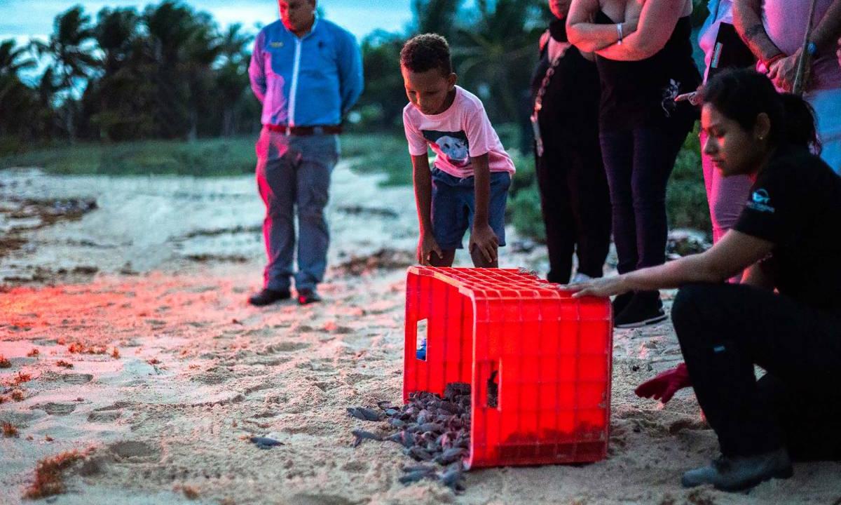 Actividades Grand Sirenis Riviera Maya Resorts & Spa Tulum Actividades Grand Sirenis Riviera Maya Resorts & Spa Tulum